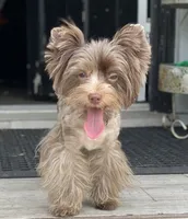 processed/722e1285-575d-4441-978a-f4344a213db5/facility/c09e142c-fd58-4c0b-bbbe-1e2018878a8f