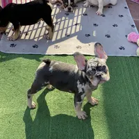 processed/722e1285-575d-4441-978a-f4344a213db5/facility/de1ce89c-dc11-412a-958d-edc1d5b50e1f