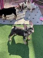 processed/722e1285-575d-4441-978a-f4344a213db5/facility/de1ce89c-dc11-412a-958d-edc1d5b50e1f