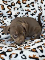 processed/722e1285-575d-4441-978a-f4344a213db5/listing/e93c546d-216a-40cf-816e-c5b8d4a3c97f/29c2396a-ab40-43eb-9235-c7a7bb8f8fcf