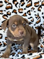 processed/722e1285-575d-4441-978a-f4344a213db5/listing/e93c546d-216a-40cf-816e-c5b8d4a3c97f/3f7a6360-d0d2-434a-94e7-2135c38cf31a