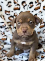 processed/722e1285-575d-4441-978a-f4344a213db5/listing/e93c546d-216a-40cf-816e-c5b8d4a3c97f/8255854a-70a8-4253-9106-4e192ebd6cf6