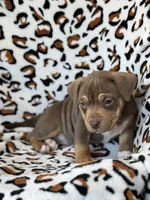 processed/722e1285-575d-4441-978a-f4344a213db5/listing/e93c546d-216a-40cf-816e-c5b8d4a3c97f/ebab8fae-8b99-494a-a1f9-9942123c1e07