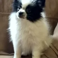 processed/72346978-2520-4bfa-a1fe-d193327cdd73/facility/00a92618-444d-4c00-b437-ef4d6a2be498