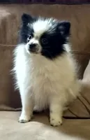 processed/72346978-2520-4bfa-a1fe-d193327cdd73/facility/00a92618-444d-4c00-b437-ef4d6a2be498