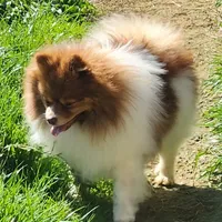 processed/72346978-2520-4bfa-a1fe-d193327cdd73/facility/1133d731-32bc-4d41-8943-7bdc25eb795e