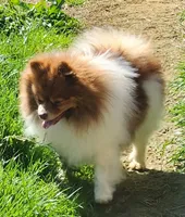 processed/72346978-2520-4bfa-a1fe-d193327cdd73/facility/1133d731-32bc-4d41-8943-7bdc25eb795e