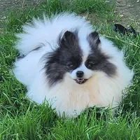 processed/72346978-2520-4bfa-a1fe-d193327cdd73/facility/41fc0a8d-daaa-4f4d-8dd4-01de01c657cf