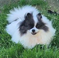 processed/72346978-2520-4bfa-a1fe-d193327cdd73/facility/41fc0a8d-daaa-4f4d-8dd4-01de01c657cf