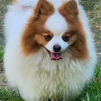 processed/72346978-2520-4bfa-a1fe-d193327cdd73/facility/52592566-d72b-4601-a2c5-12d3caf6a185