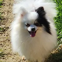 processed/72346978-2520-4bfa-a1fe-d193327cdd73/facility/6d9354a6-698d-4866-bf50-203926450a7e