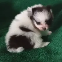 processed/72346978-2520-4bfa-a1fe-d193327cdd73/facility/e684ce24-c11d-49d5-b89d-196abd6dcf3e