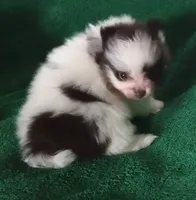 processed/72346978-2520-4bfa-a1fe-d193327cdd73/facility/e684ce24-c11d-49d5-b89d-196abd6dcf3e