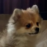 processed/72346978-2520-4bfa-a1fe-d193327cdd73/facility/f5e5282c-f23c-4b73-9e1f-3fc924dc7f4c