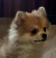 processed/72346978-2520-4bfa-a1fe-d193327cdd73/facility/f5e5282c-f23c-4b73-9e1f-3fc924dc7f4c