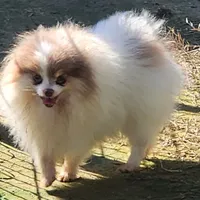 processed/72346978-2520-4bfa-a1fe-d193327cdd73/facility/fe9ae9d7-a0ee-4c09-a0f8-0724ae35eb26