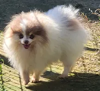 processed/72346978-2520-4bfa-a1fe-d193327cdd73/facility/fe9ae9d7-a0ee-4c09-a0f8-0724ae35eb26