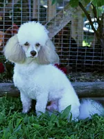 processed/723567f3-eaea-4bc7-ae48-86b9e50dc62a/facility/18e538a1-75e2-42c9-9a82-2419a80f8205