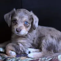 processed/723567f3-eaea-4bc7-ae48-86b9e50dc62a/facility/2ef15657-7160-47f5-831e-2234bd1a81e0