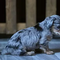 processed/723567f3-eaea-4bc7-ae48-86b9e50dc62a/facility/55f77456-983d-43ba-b6c1-2c2327ae222f