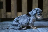 processed/723567f3-eaea-4bc7-ae48-86b9e50dc62a/facility/55f77456-983d-43ba-b6c1-2c2327ae222f