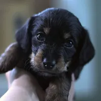 processed/723567f3-eaea-4bc7-ae48-86b9e50dc62a/facility/7250ebcd-d431-49c1-ad6d-72c12f18f155