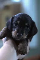 processed/723567f3-eaea-4bc7-ae48-86b9e50dc62a/facility/7250ebcd-d431-49c1-ad6d-72c12f18f155