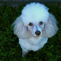 processed/723567f3-eaea-4bc7-ae48-86b9e50dc62a/facility/b370c890-7765-4fbd-8745-7fe3e4e09026