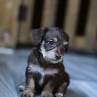 processed/723567f3-eaea-4bc7-ae48-86b9e50dc62a/facility/c484651b-7d9e-4124-8786-579926b7e106