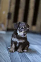 processed/723567f3-eaea-4bc7-ae48-86b9e50dc62a/facility/c484651b-7d9e-4124-8786-579926b7e106