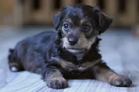 processed/723567f3-eaea-4bc7-ae48-86b9e50dc62a/facility/caa500c4-379a-402c-9a27-0a8e1234adad