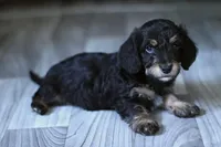 processed/723567f3-eaea-4bc7-ae48-86b9e50dc62a/facility/d71a96a2-6818-4a4a-9b4f-6dca1cb25e9a