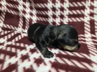 processed/723567f3-eaea-4bc7-ae48-86b9e50dc62a/listing/1ffebda2-c495-402c-bd9a-6046528370d1/38364e34-bf9b-425a-805b-a5b9479f3355