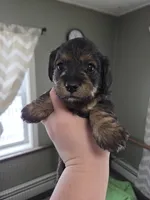 processed/723567f3-eaea-4bc7-ae48-86b9e50dc62a/listing/1ffebda2-c495-402c-bd9a-6046528370d1/56e16e8e-e586-429a-91cc-bad51eb648ad