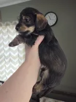 processed/723567f3-eaea-4bc7-ae48-86b9e50dc62a/listing/1ffebda2-c495-402c-bd9a-6046528370d1/586a6b63-5b15-46a7-8e13-ee691297e8e9