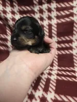 processed/723567f3-eaea-4bc7-ae48-86b9e50dc62a/listing/1ffebda2-c495-402c-bd9a-6046528370d1/9d50a8cf-0bb4-411a-8637-d5003334db85