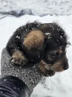 processed/723567f3-eaea-4bc7-ae48-86b9e50dc62a/listing/1ffebda2-c495-402c-bd9a-6046528370d1/b4249170-52f0-4c9b-9966-11d77986ae9d