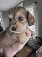 processed/723567f3-eaea-4bc7-ae48-86b9e50dc62a/listing/cd190cce-3f12-4577-9396-90081c567093/226a103d-ffbd-4293-a568-93ba81ff21c3