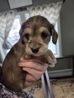 processed/723567f3-eaea-4bc7-ae48-86b9e50dc62a/listing/cd190cce-3f12-4577-9396-90081c567093/2a317801-95fd-4c35-ad46-415f08485489