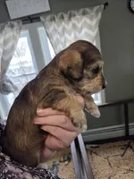 processed/723567f3-eaea-4bc7-ae48-86b9e50dc62a/listing/cd190cce-3f12-4577-9396-90081c567093/5e66759f-9a67-4502-8c1a-9622d8263f55