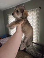 processed/723567f3-eaea-4bc7-ae48-86b9e50dc62a/listing/cd190cce-3f12-4577-9396-90081c567093/9693ba82-1eb3-4e8c-bdc1-378df68021d3