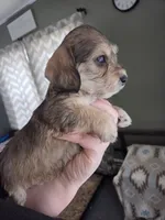 processed/723567f3-eaea-4bc7-ae48-86b9e50dc62a/listing/cd190cce-3f12-4577-9396-90081c567093/96eba3da-4a53-4c91-b265-b06207dee2e4