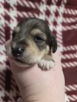 processed/723567f3-eaea-4bc7-ae48-86b9e50dc62a/listing/cd190cce-3f12-4577-9396-90081c567093/cae877de-b80e-4c43-a601-88233d7cb191