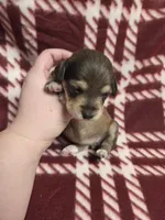 processed/723567f3-eaea-4bc7-ae48-86b9e50dc62a/listing/cd190cce-3f12-4577-9396-90081c567093/e45fb3c1-1bfa-4c08-931d-b510d36b4c2b