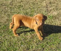 processed/72358f4c-07c1-4d1a-98c3-1653d82b0c2e/listing/390bfc0a-7ec5-4e30-9658-2569029790e1/80855ba6-7e77-4eae-b4c1-a912846bcb4b