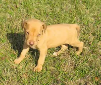 processed/72358f4c-07c1-4d1a-98c3-1653d82b0c2e/listing/64330e95-4733-4d79-be36-021eead3c311/24246d35-e290-49d2-a913-61da86824f6f