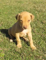 processed/72358f4c-07c1-4d1a-98c3-1653d82b0c2e/listing/64330e95-4733-4d79-be36-021eead3c311/dd8ad2f7-09f4-4c4e-aec8-d1f42b634bb9