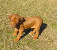 processed/72358f4c-07c1-4d1a-98c3-1653d82b0c2e/listing/8450c8a3-5854-4467-9060-498f5468093b/5805f7e5-3c4b-4bfd-b2b4-f4934c448c2f