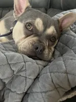 processed/7248b688-9457-42b0-ba9e-a3cc4637f092/facility/20a7ab8b-517c-4fc1-9ad7-da8764395ca5