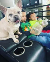 processed/7248b688-9457-42b0-ba9e-a3cc4637f092/facility/3811cc29-0bda-4430-a3c1-73df7df6f3b3